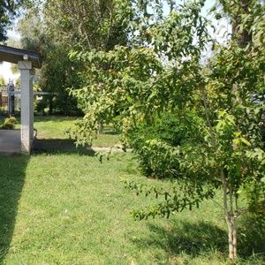 Meet your Posher, Iowa